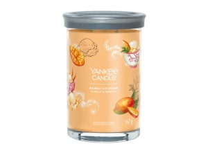 Mango Ice Cream - 567g